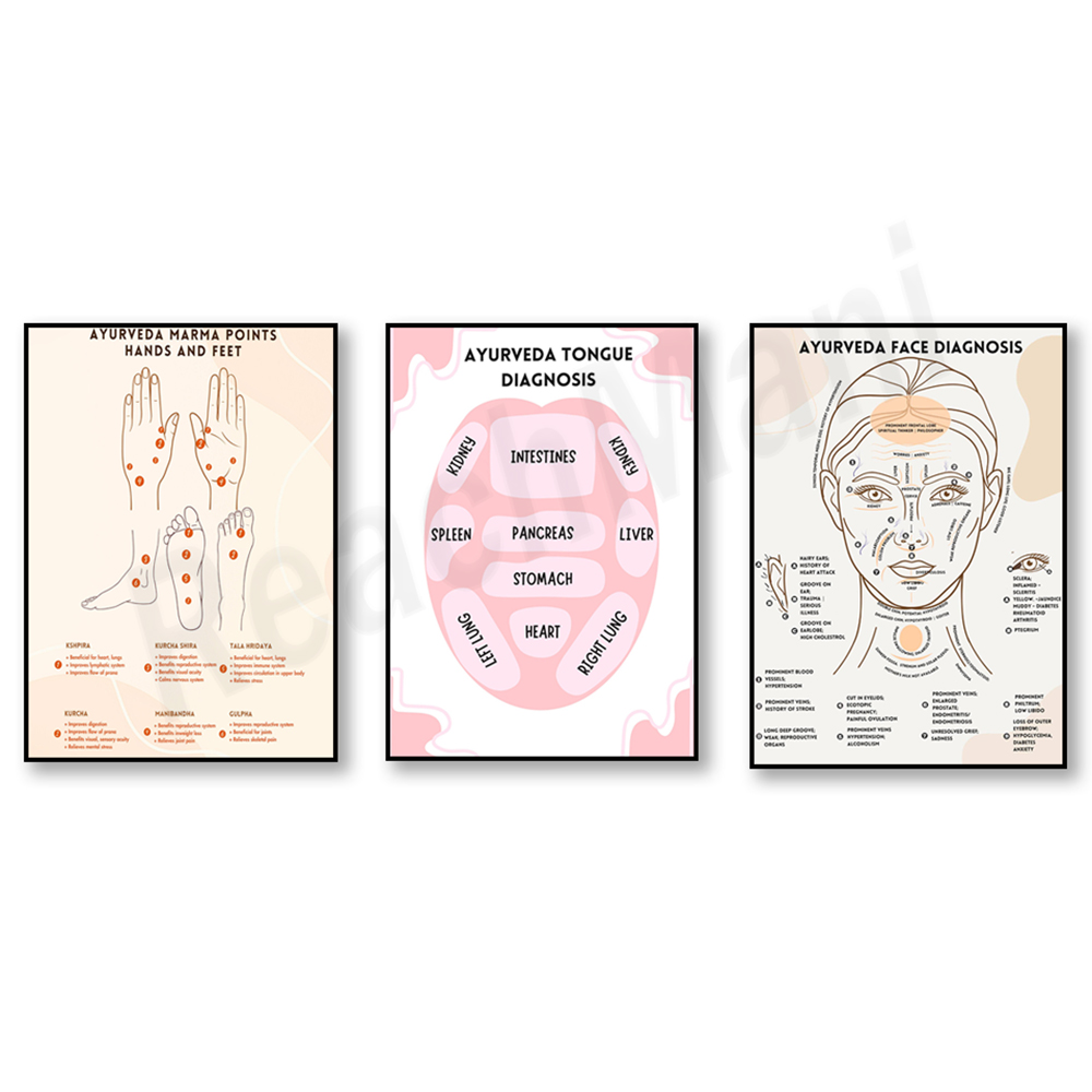 Ayurvedic energy chart, Ayurve – Ayurvedic & Herbal Wellness Kits recenzja i cena