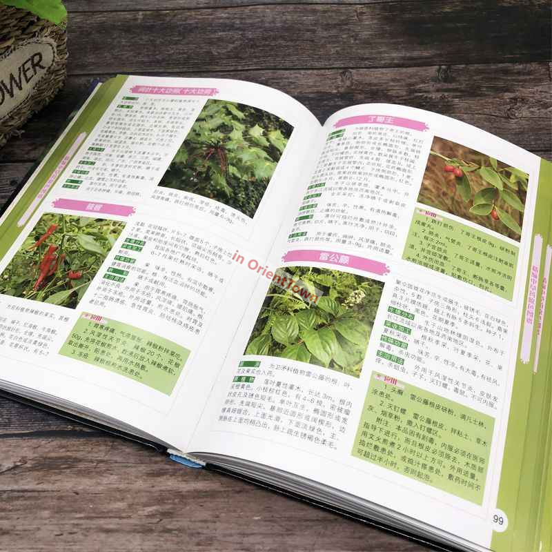 400 Common Herbal Plants Flavo – Wellness Herbal Medicine recenzja i cena