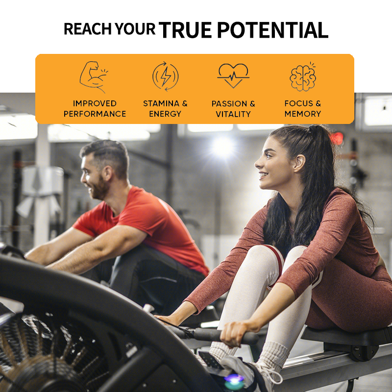 Ginseng + Ginkgo Biloba Extrac – Ginkgo Biloba Extract recenzja i cena