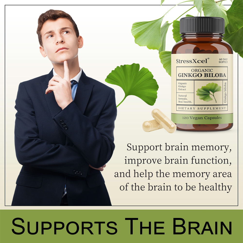 Ginkgo Biloba Capsules - Suppo – Ginkgo Biloba Extract recenzja i cena