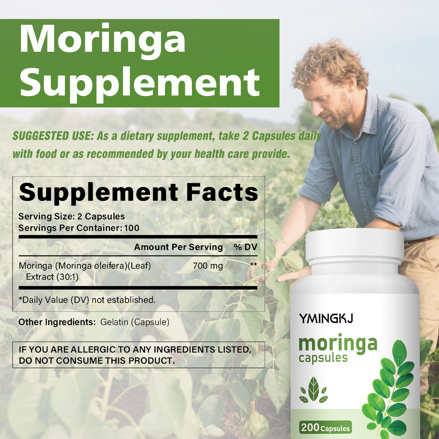 Organic Moringa Oleifera Leaf  – Moringa Leaf Powder recenzja i cena