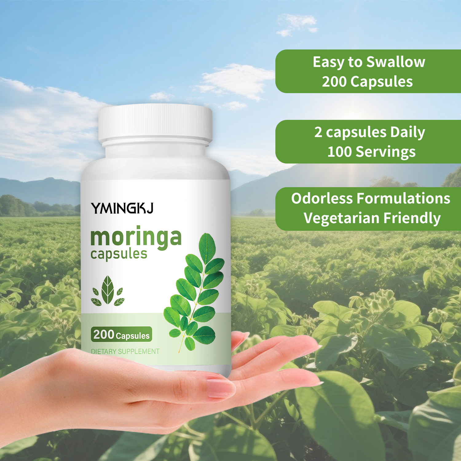 Organic Moringa Oleifera Leaf  – Moringa Leaf Powder recenzja i cena