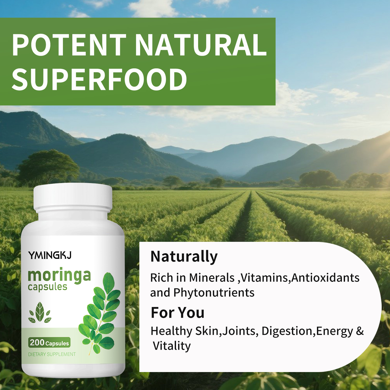 Organic Moringa Oleifera Leaf  – Moringa Leaf Powder recenzja i cena