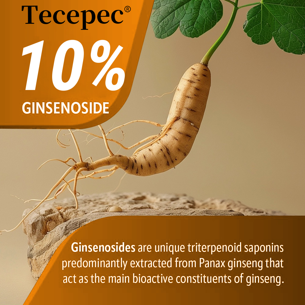 Ginseng + Ginkgo Capsules - Bo – Ginkgo Biloba Extract recenzja i cena