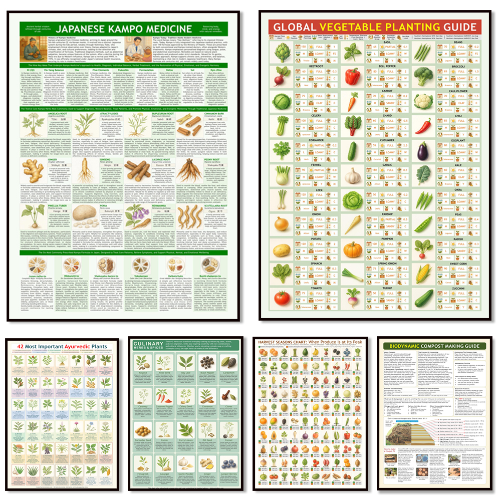 Ayurvedic healing plants, harv – Ayurvedic & Herbal Wellness Kits recenzja i cena