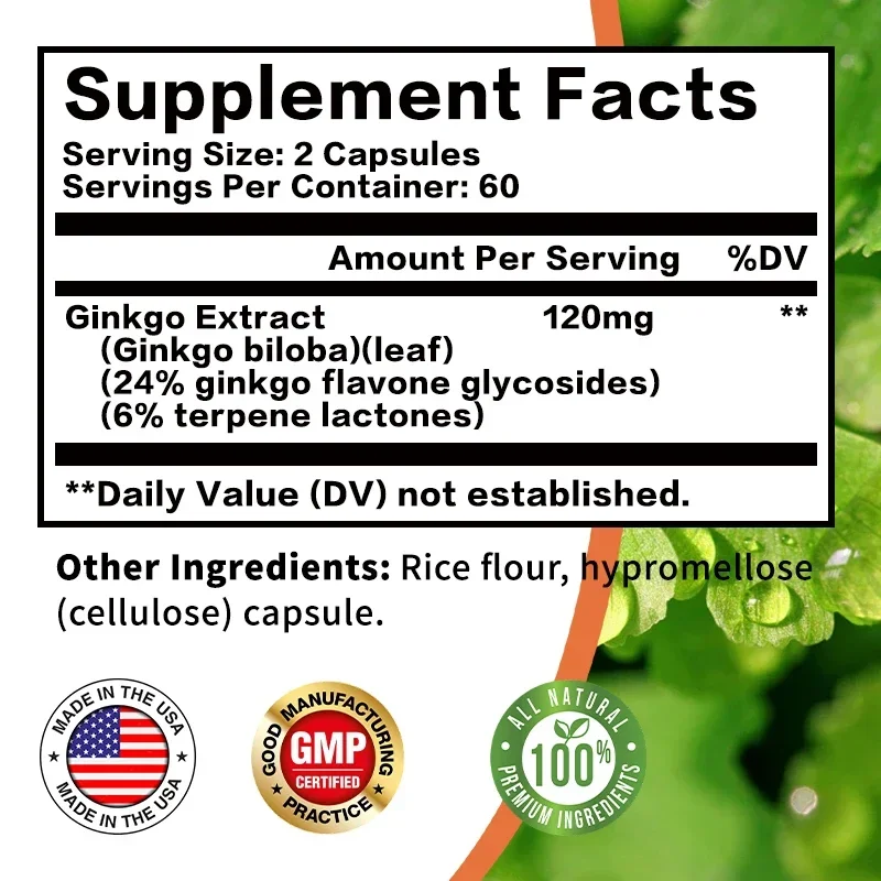 Ginkgo Biloba Capsules - Brain – Ginkgo Biloba Extract recenzja i cena