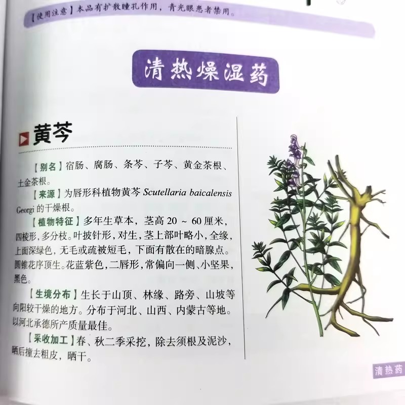 The Ancient Herbarium Holistic – Wellness Herbal Medicine recenzja i cena