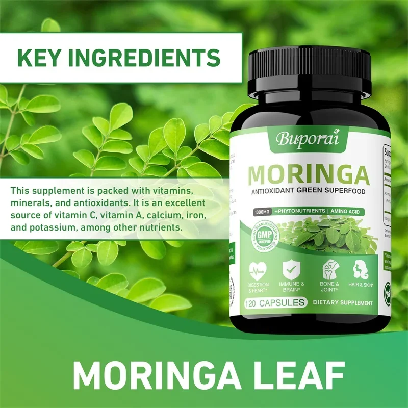 Moringa Capsules - Immune Syst – Moringa Leaf Powder recenzja i cena
